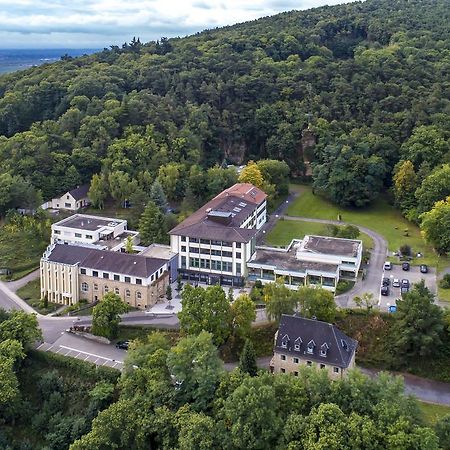 Kloster Neustadt Neustadt an der Weinstraße Eksteriør bilde
