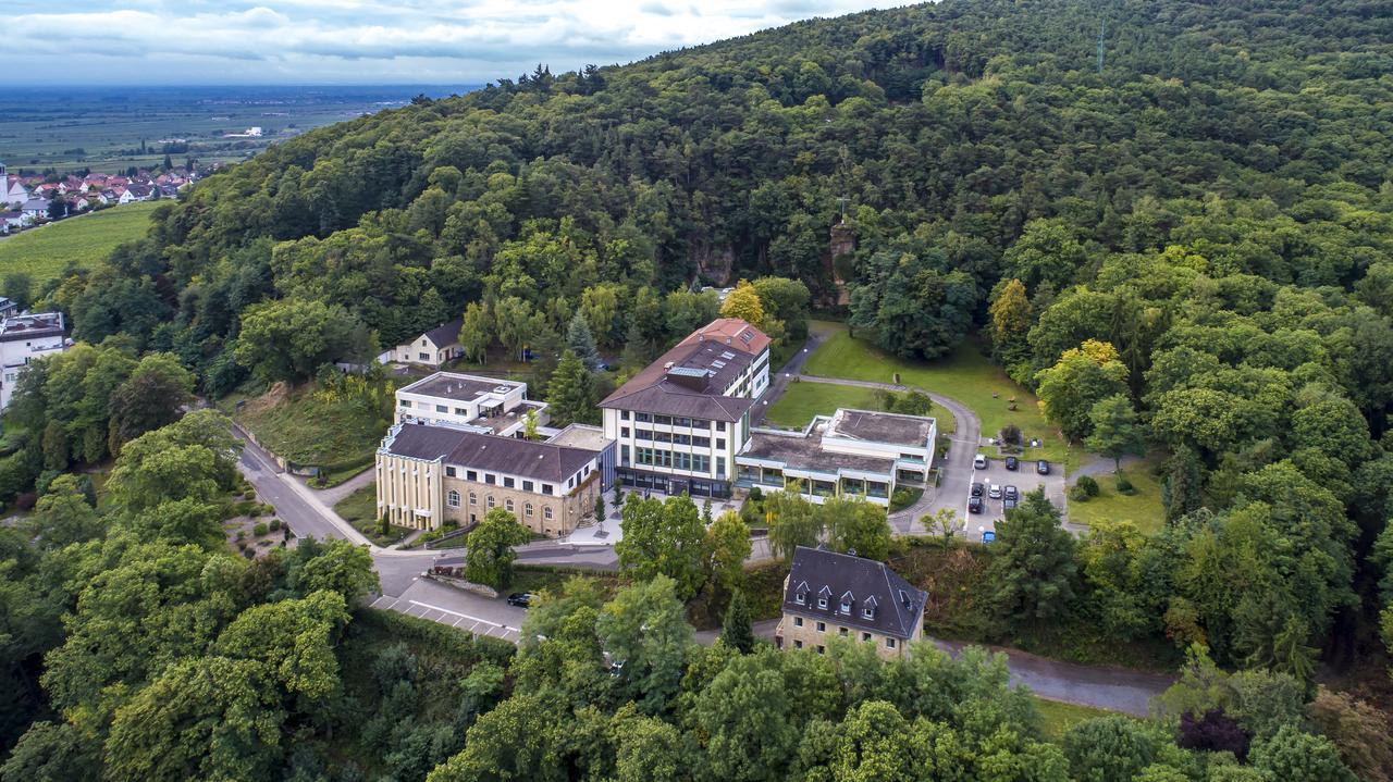 Kloster Neustadt Neustadt an der Weinstraße Eksteriør bilde